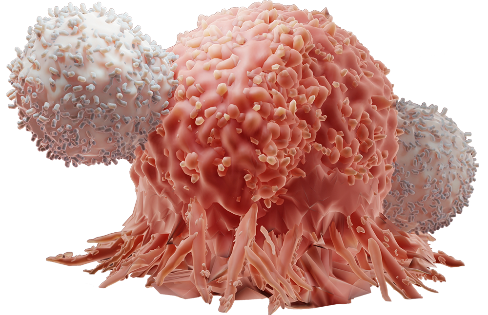 Committed to Curing Cancer